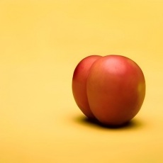 Diversis modis ani praestare sexus